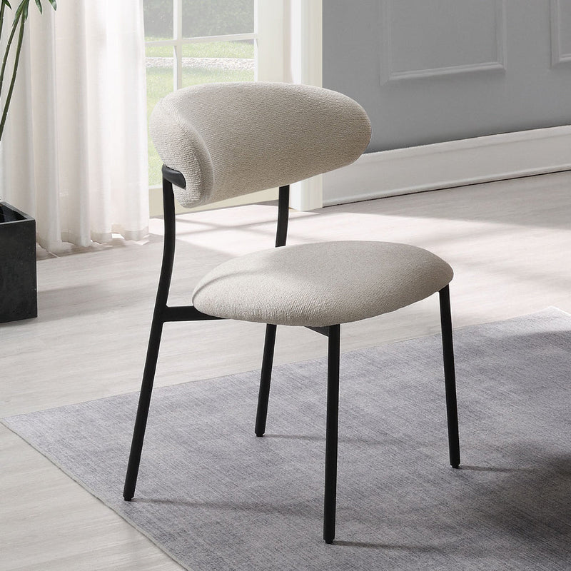 Jirina Side Chair (Set-2) - DN03677
