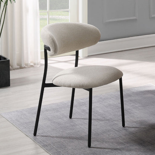 Jirina Side Chair (Set-2) - DN03677