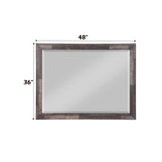 Juniper Mirror - 22164