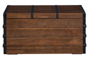 Kettleby Brown Storage Trunk - DMV FurnitureTrunk