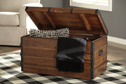 Kettleby Brown Storage Trunk - DMV FurnitureTrunk