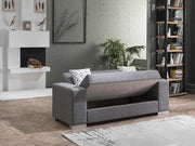 Kobe Sleeper (Diego Gray) Living Room Set - DMV FurnitureLiving Room Set