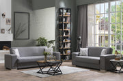 Kobe Sleeper (Diego Gray) Living Room Set - DMV FurnitureLiving Room Set