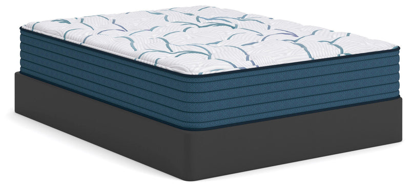 Limited Edition Plush 3.0 White California King Mattress - M45151