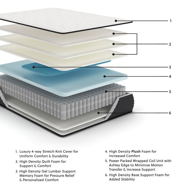 Limited Edition Plush Full Mattress - DMV FurnitureFull Mattress