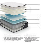 Limited Edition PT Full Mattress - DMV FurnitureFull Mattress