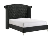 Lucinda Black King Upholstered Wingback Panel Bed - DMV FurnitureKing Bed