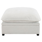 Marisa Modular Ottoman w/Storage - LV04415