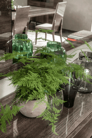 Medea Dining Room Set - DMV FurnitureDining Room Set