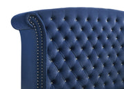 Melody Upholstered Queen Wingback Bed Pacific Blue - 223371Q