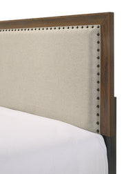 Mille Cherry Brown Upholstered Youth Bedroom Set - DMV FurnitureYouth Bedroom Set
