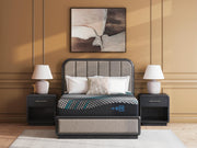 Millennium 2.0 Hybrid 14 Inch Black Twin XL Mattress - M31371