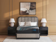 Millennium 2.0 Hybrid 16 Inch Black King Mattress - M31441