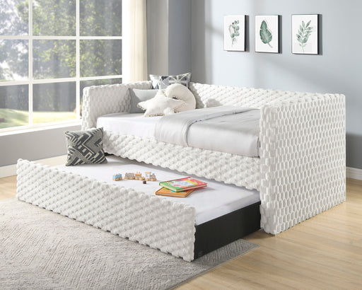 Molly Whote Dove Twin Daybed with Trundle - DMV FurnitureDaybed