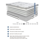 MT-PH12CK 12" California King Hybrid Mattress - MT-PH12CK