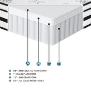 MT-PH12F 12" Full Hybrid Mattress - MT-PH12F