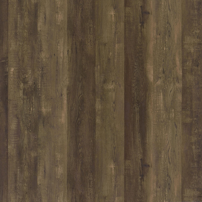 Myles 2-door Engineered Wood 60-inch TV Stand Rustic Oak - 736052