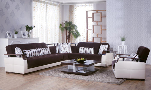 Natural Sectional (Colins Brown) 4 Pieces - DMV FurnitureSleeper Sectional