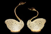 NY-SWAN-2 - NY-SWAN-2