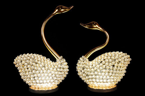 NY-SWAN-2 - NY-SWAN-2