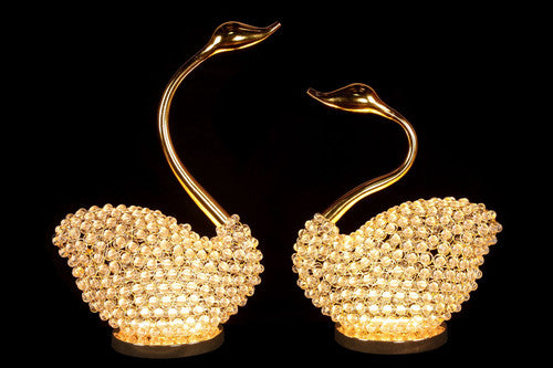 NY-SWAN-2 - NY-SWAN-2