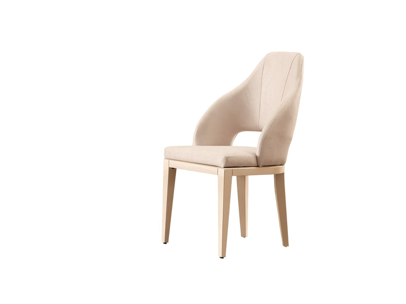 Paris Dining Chair - 115-PAR-ZEG02-DC