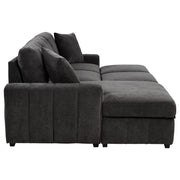 Pastrana Upholstered Sleeper Sectional Sofa LAF Chaise Grey - 500349