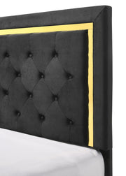 Pepe Black/Gold Panel Upholstered Bedroom Set - DMV FurnitureBedroom Set