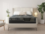 Pure of The Loom Series King Mattress - No Boxspring - pure-of-the-loom-series-mattres-king