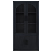 Riva 4-door Tall Accent Display Cabinet LED Lighting Black - 950432