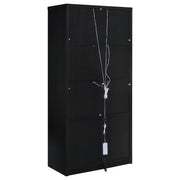 Riva 4-door Tall Accent Display Cabinet LED Lighting Black - 950432