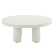 Sanat Coffee Table - LV04235