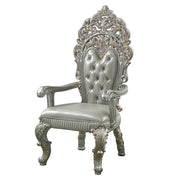Sandoval Arm Chair (Set-2) - DN01496