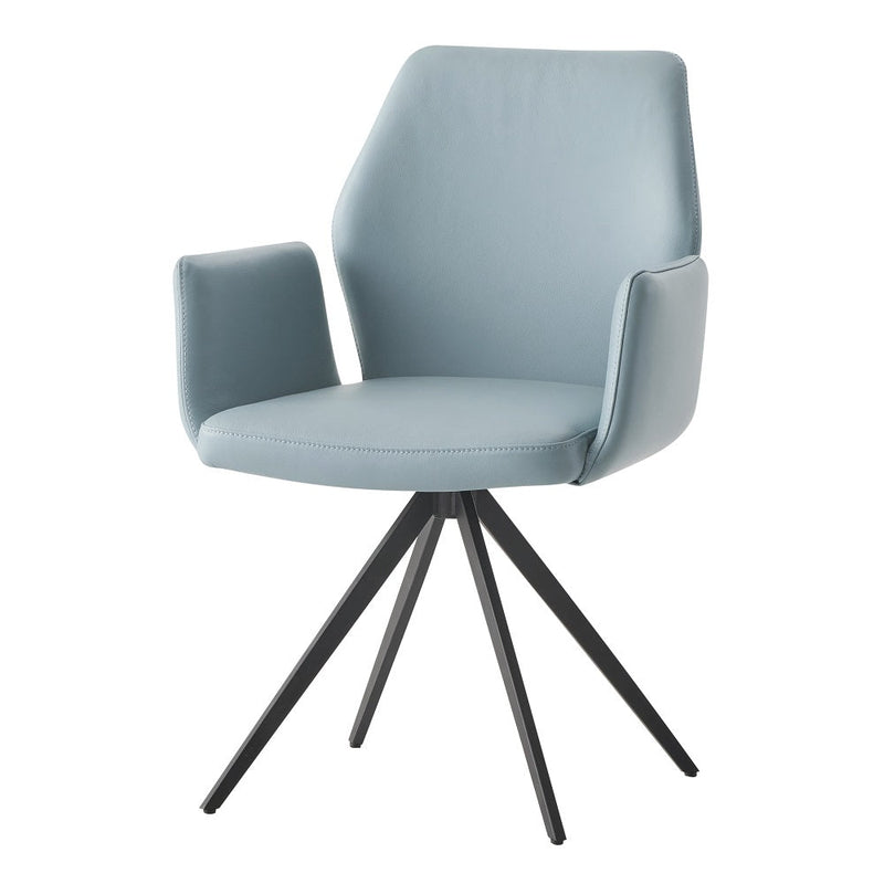 Segismunda Arm Chair W/Swivel - DN02403