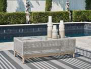 Seton Creek Outdoor Sofa and Loveseat with Coffee Table in Gray from Ashley - DMV Furniture