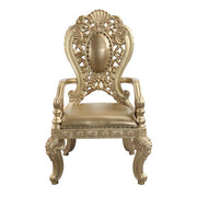 Seville Arm Chair (Set-2) - DN00459
