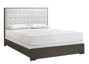 Sharpe Brown Full Upholstered Panel Bed - DMV FurnitureFull Bed