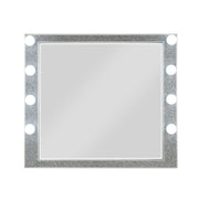 Sliverfluff Mirror W/Light - BD00245