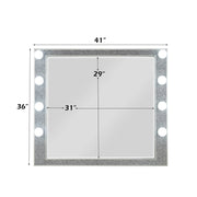Sliverfluff Mirror W/Light - BD00245