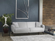 Sofa In A Box - Flexy (Zigana Light Gray) - DMV FurnitureSleeper Sofa
