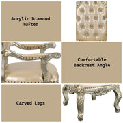 Sorina Arm Chair (Set-2) - DN01210