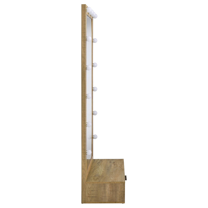 Spector 1-drawer Lighted Full-Length Floor Mirror Mango - 960965