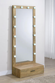 Spector 1-drawer Lighted Full-Length Floor Mirror Mango - 960965