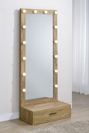 Spector 1-drawer Lighted Full-Length Floor Mirror Mango - 960965