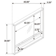 Stillwater Dresser Mirror with Jewelry Shelf - 222804