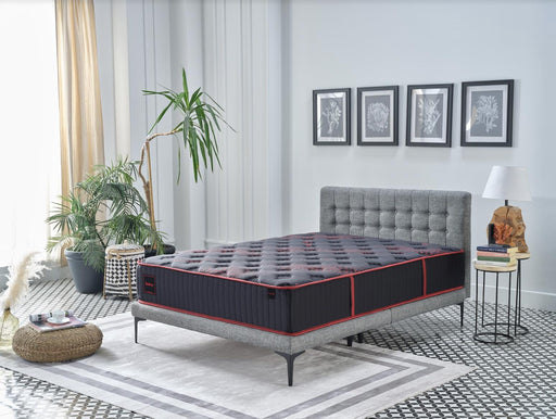 Sultry Queen Mattress - DMV FurnitureQueen Mattress