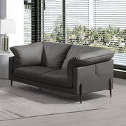 Tadi Loveseat - LV04511