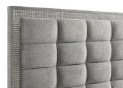 TBD - 305770KE