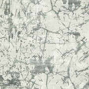 Tobinbury Gray Washable 5' x 7' Area Rug - R407422