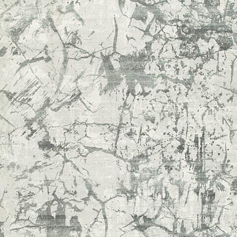 Tobinbury Gray Washable 8' x 10' Area Rug - R407421
